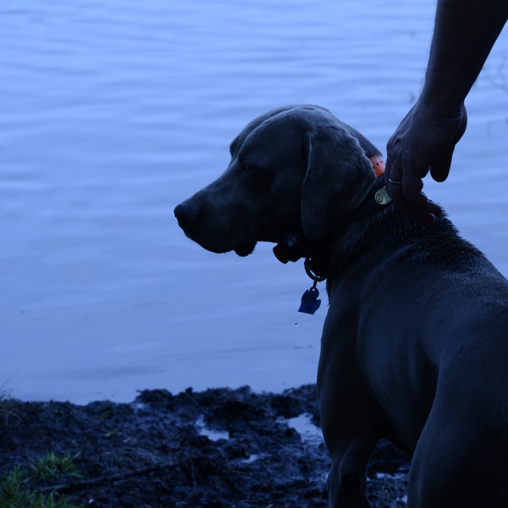 Junior at the water